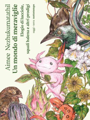 cover image of Un mondo di meraviglie